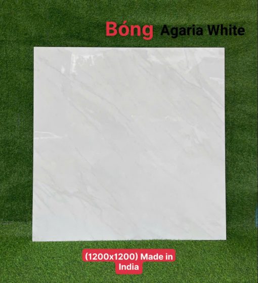 Gạch Lát Nền Nhập Khẩu Ấn Độ 1200x1200mm (1.2x1.2m) – Cao Cấp, Bền Đẹp, Giá Tốt