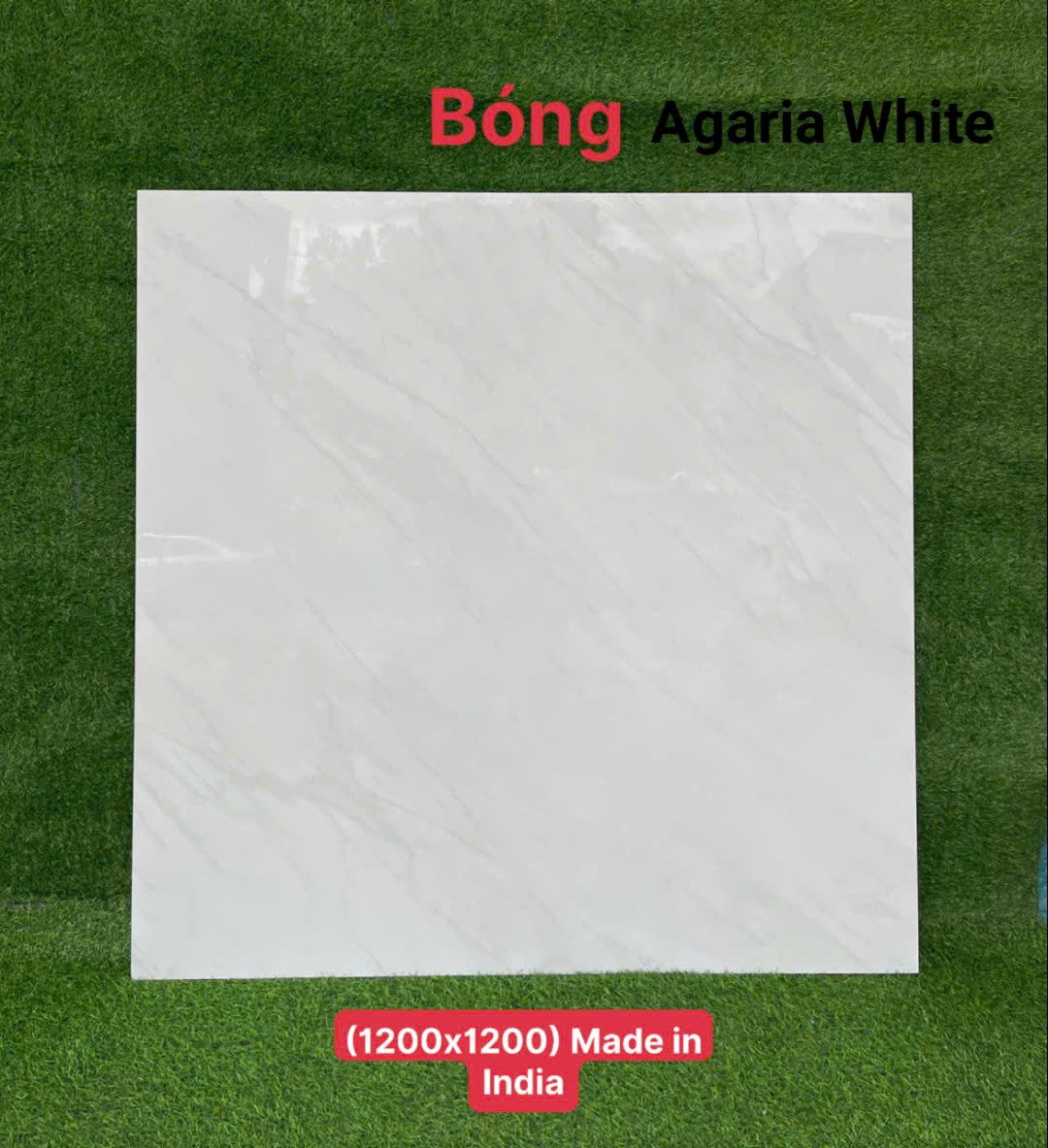 Gạch Lát Nền Nhập Khẩu Ấn Độ 1200x1200mm (1.2x1.2m) – Cao Cấp, Bền Đẹp, Giá Tốt Gạch Lát Nền Nhập Khẩu Ấn Độ 1200x1200mm (1.2x1.2m) – Cao Cấp, Bền Đẹp, Giá Tốt