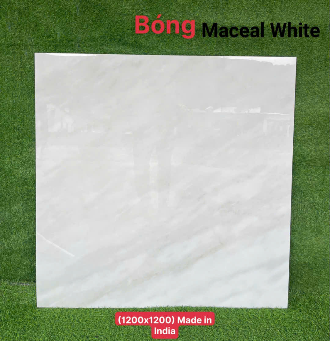 Gạch Lát Nền Nhập Khẩu Ấn Độ 1200x1200mm (1.2x1.2m) – Cao Cấp, Bền Đẹp, Giá Tốt Gạch Lát Nền Nhập Khẩu Ấn Độ 1200x1200mm (1.2x1.2m) – Cao Cấp, Bền Đẹp, Giá Tốt